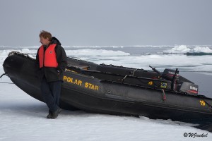 on ice floes off  East Greenland's coast